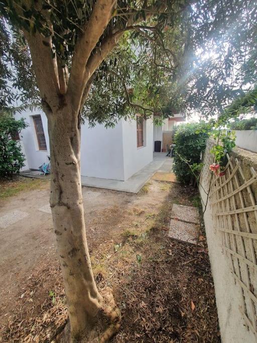 Ccc Holiday Properties Le Vele Ccc Montalto di Castro Bagian luar foto