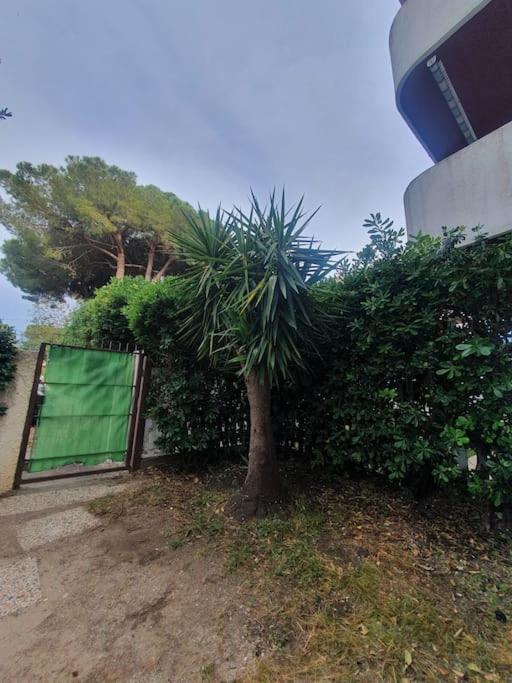 Ccc Holiday Properties Le Vele Ccc Montalto di Castro Bagian luar foto