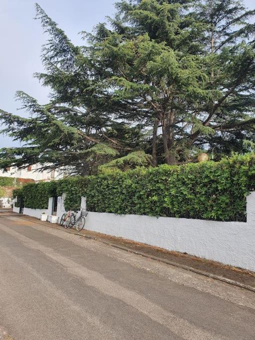 Ccc Holiday Properties Le Vele Ccc Montalto di Castro Bagian luar foto