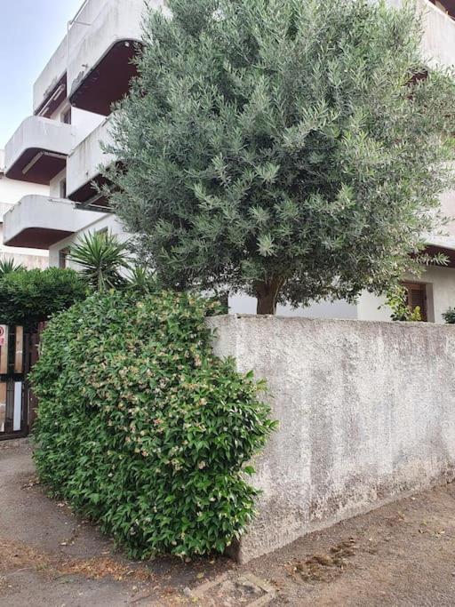 Ccc Holiday Properties Le Vele Ccc Montalto di Castro Bagian luar foto