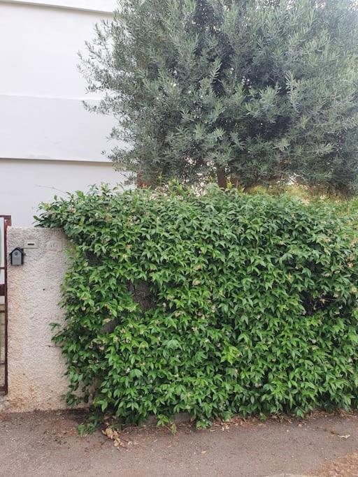 Ccc Holiday Properties Le Vele Ccc Montalto di Castro Bagian luar foto