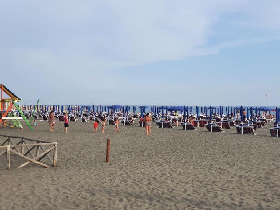 Ccc Holiday Properties Le Vele Ccc Montalto di Castro Bagian luar foto