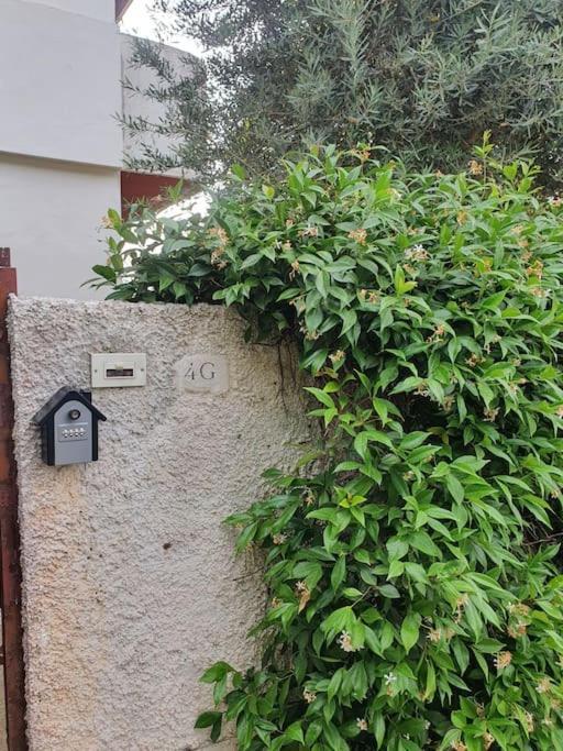 Ccc Holiday Properties Le Vele Ccc Montalto di Castro Bagian luar foto