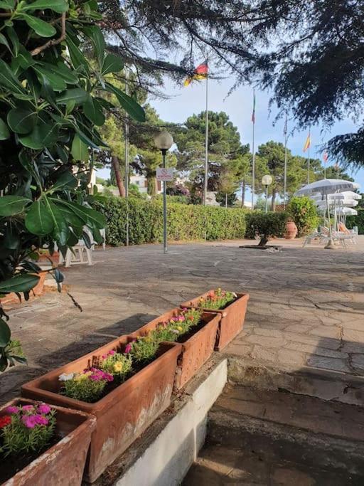 Ccc Holiday Properties Le Vele Ccc Montalto di Castro Bagian luar foto