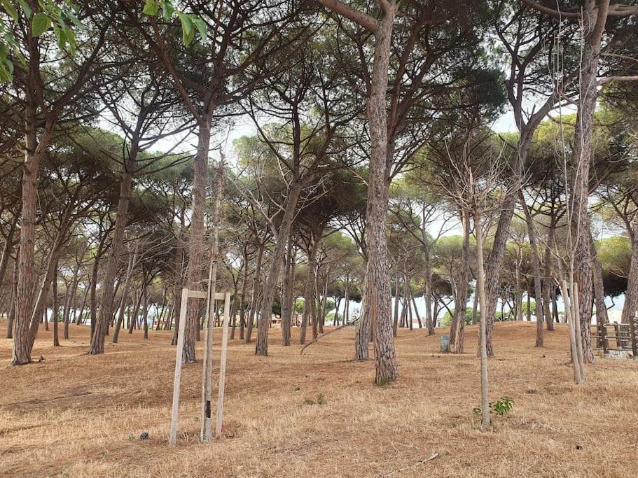 Ccc Holiday Properties Le Vele Ccc Montalto di Castro Bagian luar foto